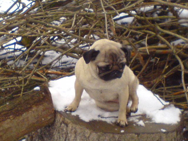 DSC00101.JPG